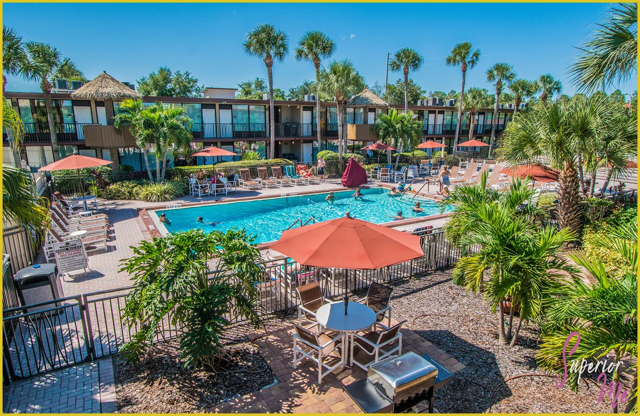 Magic Tree Resort