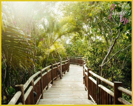 The Bliss at Vidanta Riviera Maya